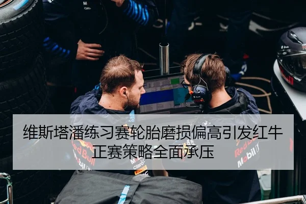 维斯塔潘练习赛轮胎磨损偏高引发红牛正赛策略全面承压